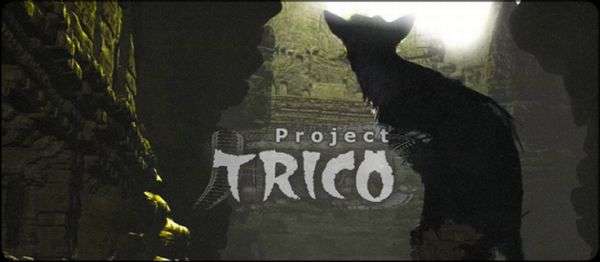 project-trico