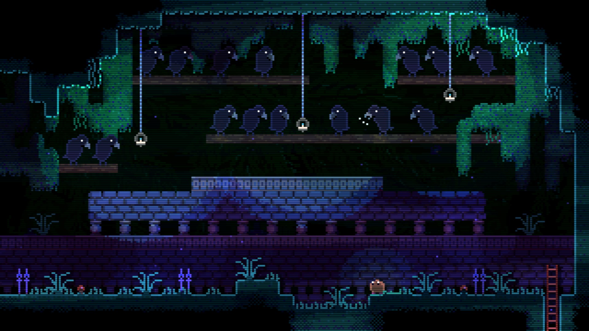 Animalwell1